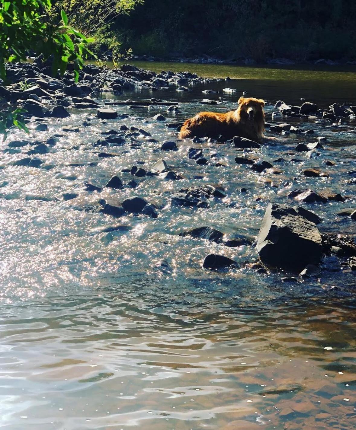 Sitio Das Pedras Ijui Bagian luar foto